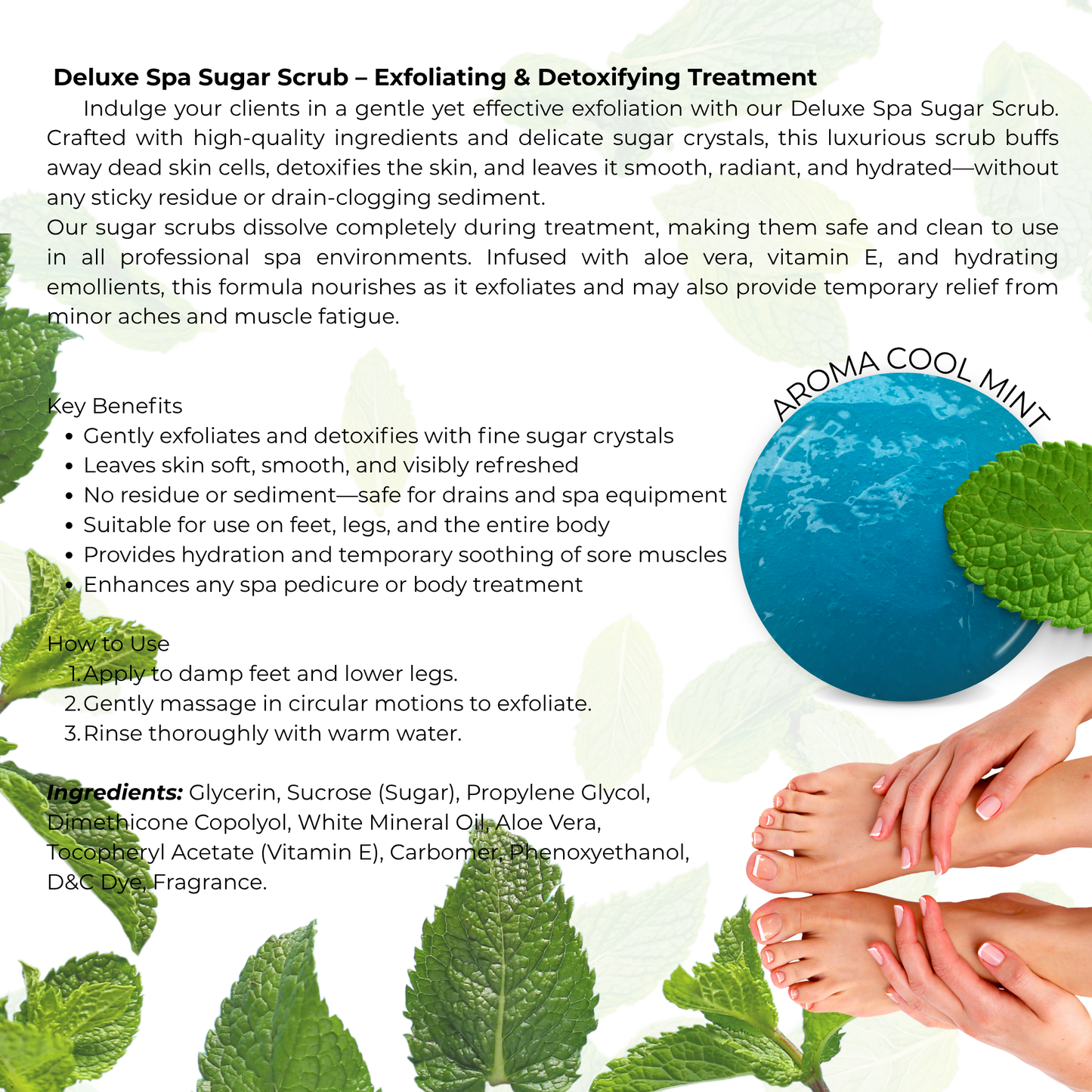 Deluxe Spa Scrub - Cool Mint