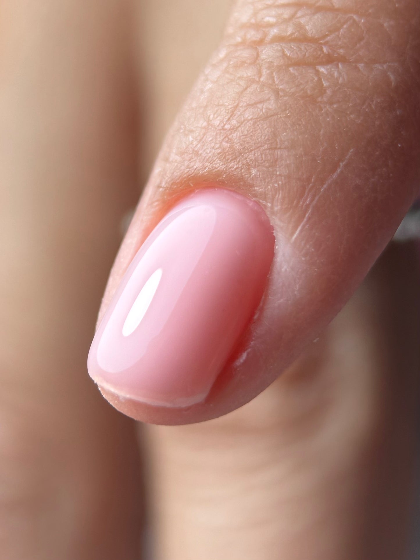 Builder Gel System - Pink Blush Hard Gel - In a Pot
